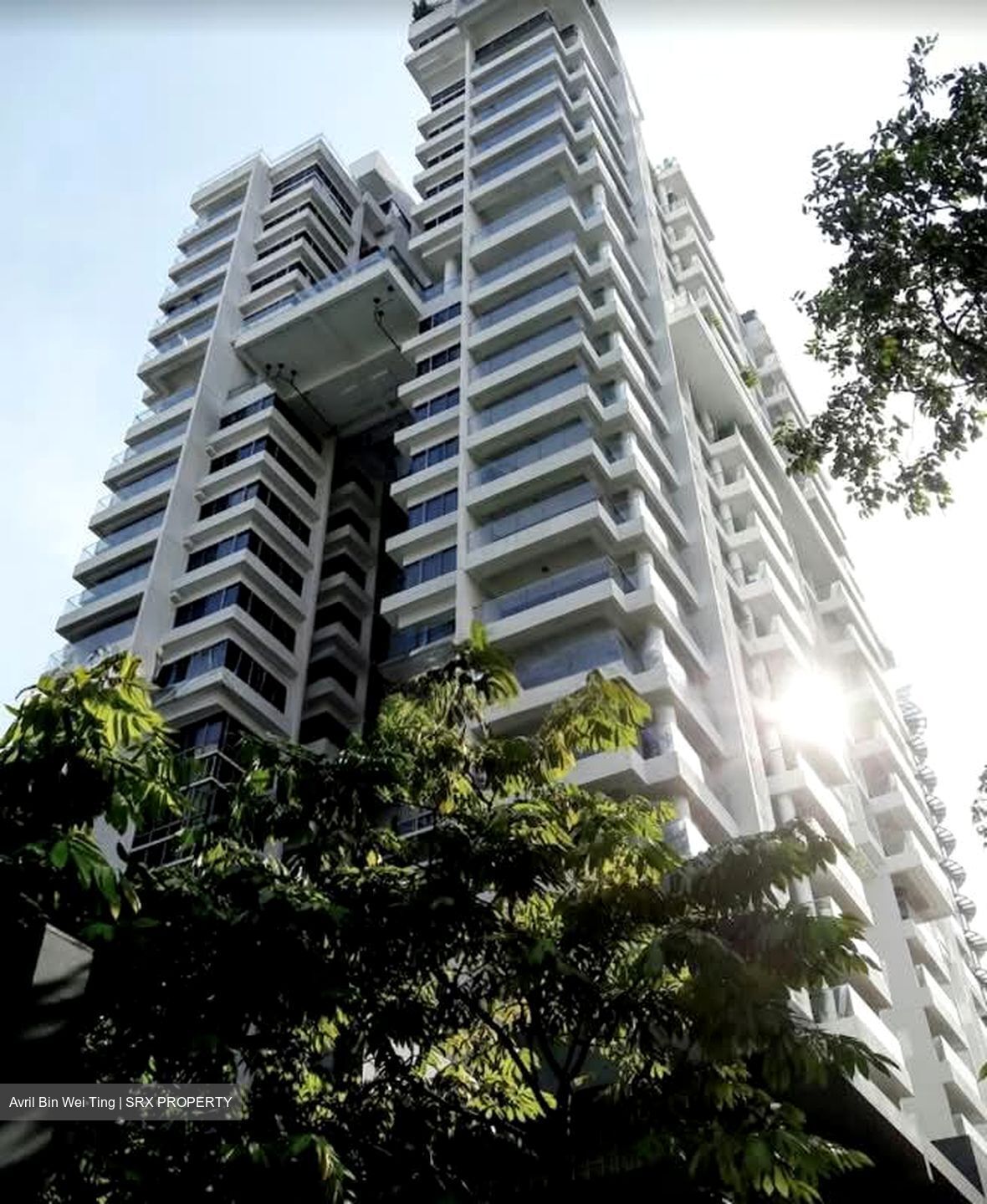 CityVista Residences (D9), Condominium #592437581